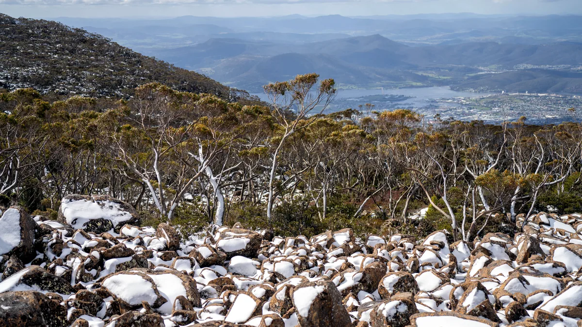 Snow dusting the branches of eucalyptus trees below a granite alpine peak at midday.