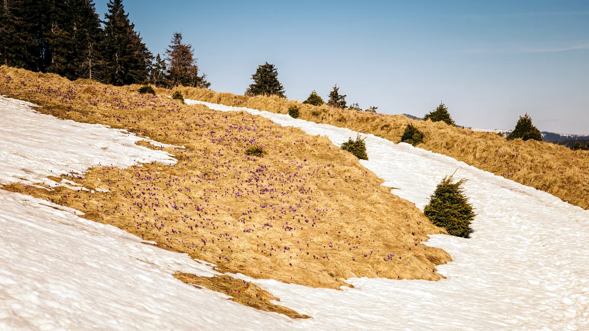 A groomed snow course with a series of rolling mounds and a banked turn under flat light.