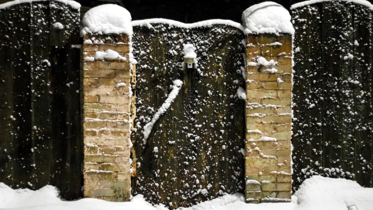 The curved wall of a halfpipe with a streak of snow spray frozen in the air near the lip.